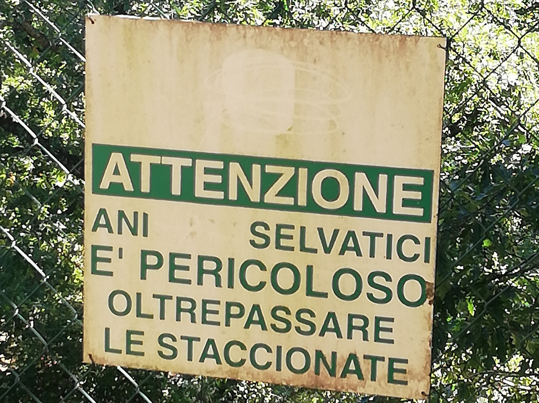 Centro visita dell'Orso-Villavallelonga必去景点