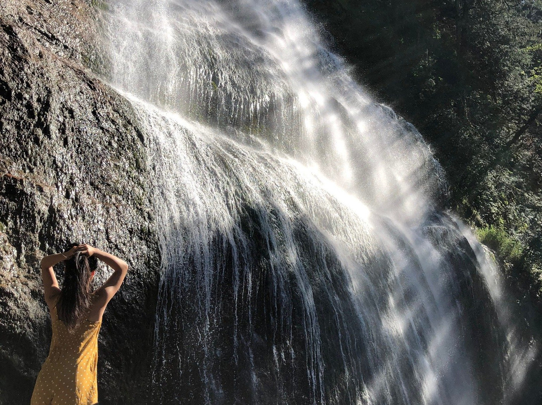 Bridal Veil Falls Waterfall景点图片