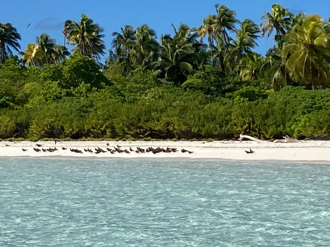 Tahiti Trip Fishing景点图片