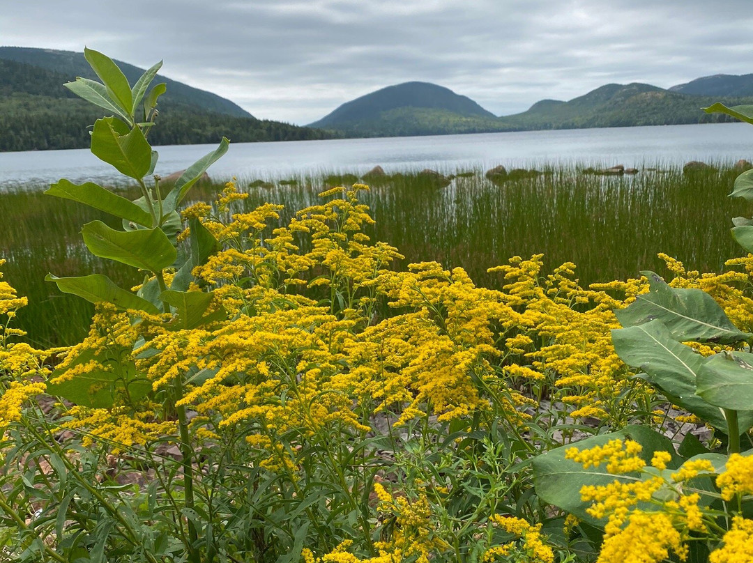 Eagle Lake Acadia National Park景点图片