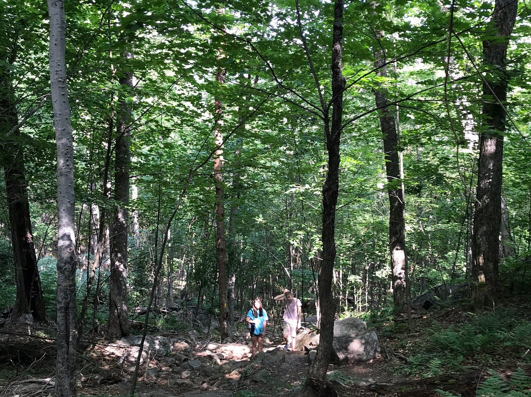 Boulder Loop Trailhead景点图片