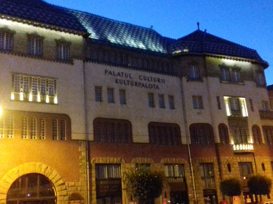 Palatul Culturii景点图片