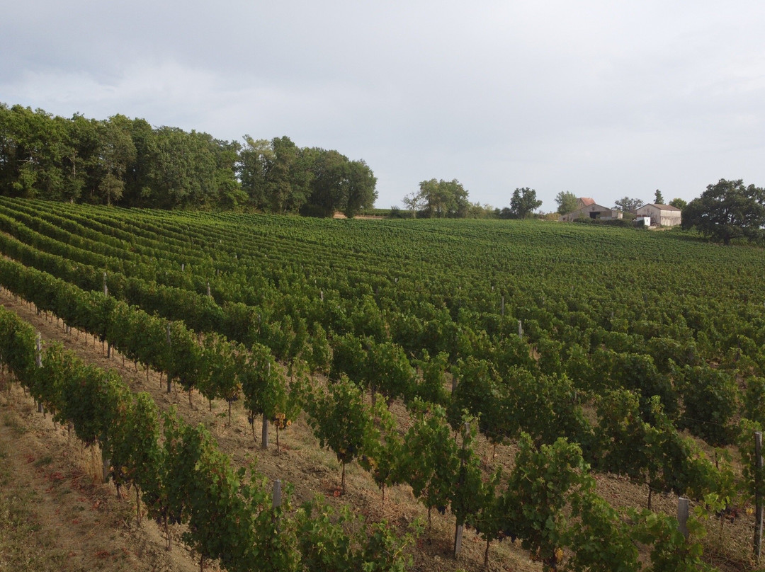 Domaine du Siorac景点图片