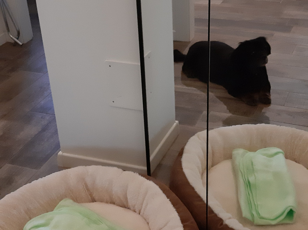 B&b Residenza Iris主图
