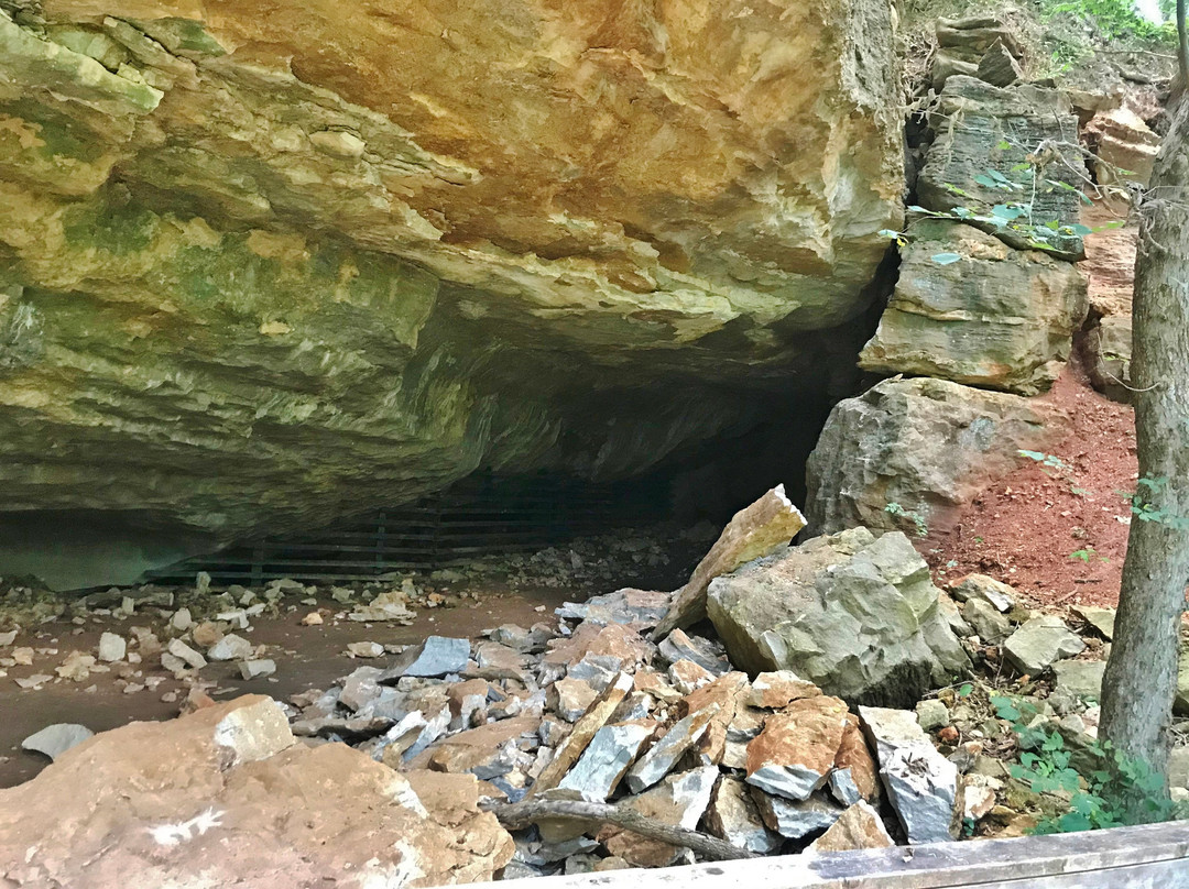Schermerhorn Park-Galena必去景点