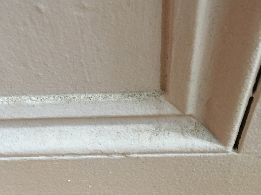 Domaine Annie Sur Mer主图