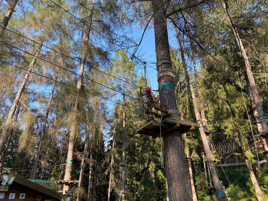 Adventure Dolomiti , Parco Avventura - Molina Di Fiemme)-Castello-Molina di Fiemme必去景点