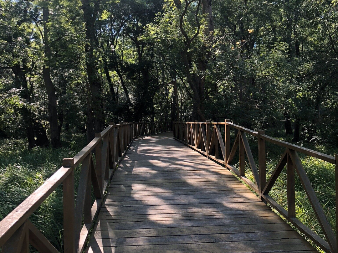 Cakirlar Korusu-Cakirlar Yali必去景点