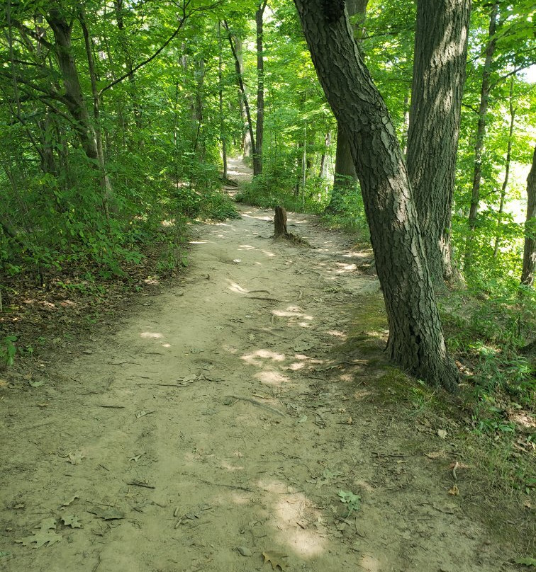 Albion Falls-汉密尔顿必去景点