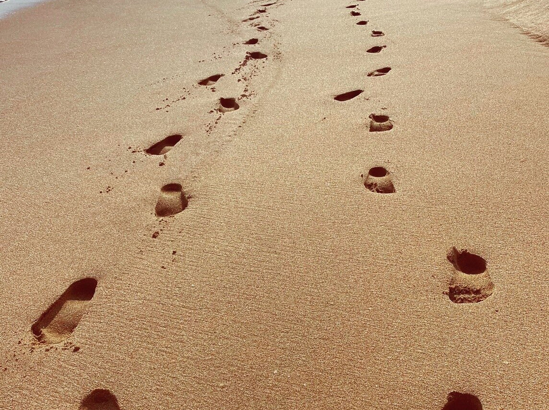 Mandala Villas主图