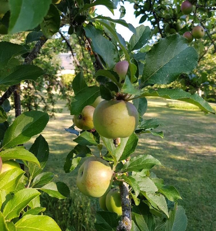 B&B Les Tranchees主图