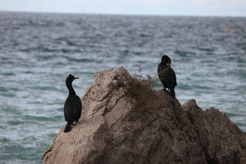 Riserva Naturale Marina di Miramare-Grignano必去景点