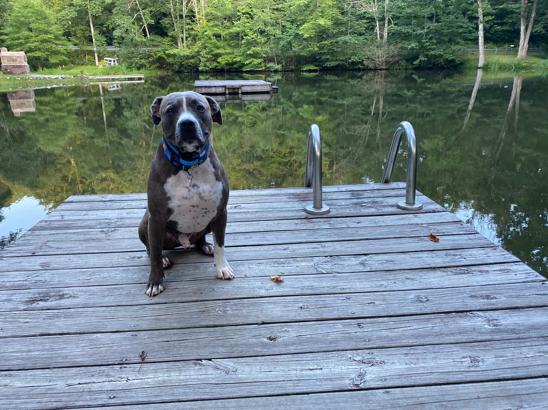 3B's Inn Bed Breakfast & Biscuits主图