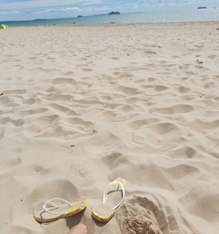 Alum Chine Beach-伯恩茅斯必去景点
