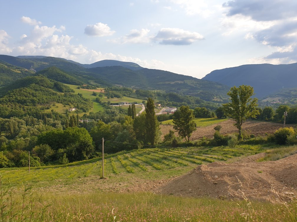 Agriturismo Rocca del Nera主图