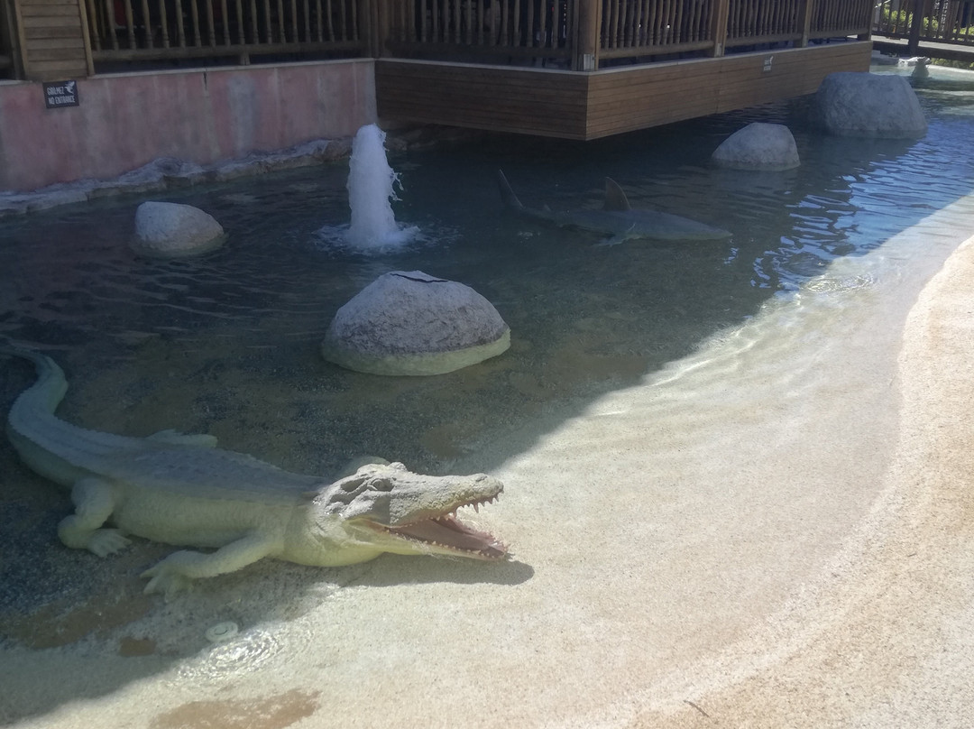 Tortuga Water Park景点图片