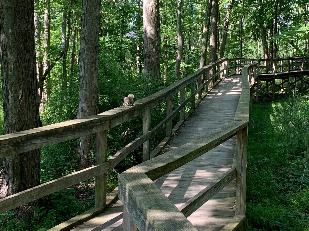Stiglmeier Park景点图片