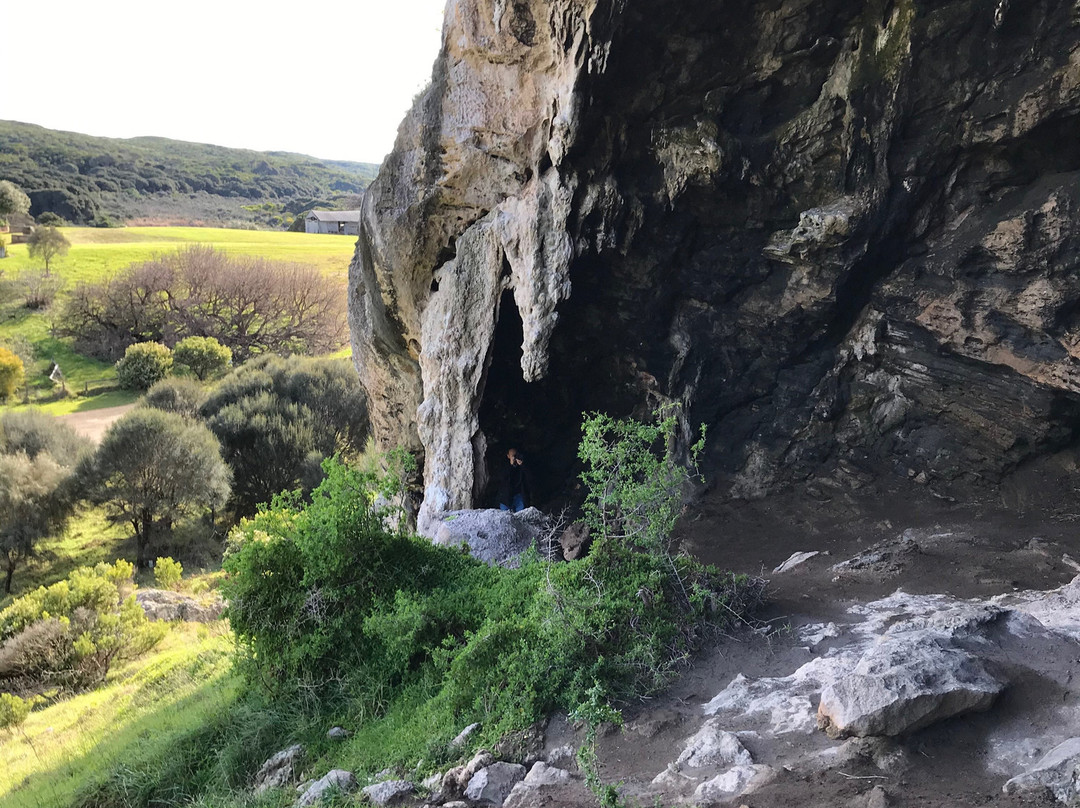 Tarragal Caves-Cape Bridgewater必去景点