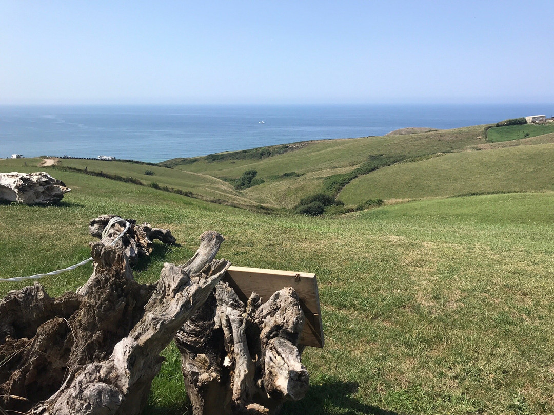 Hotel Gerra Mayor主图