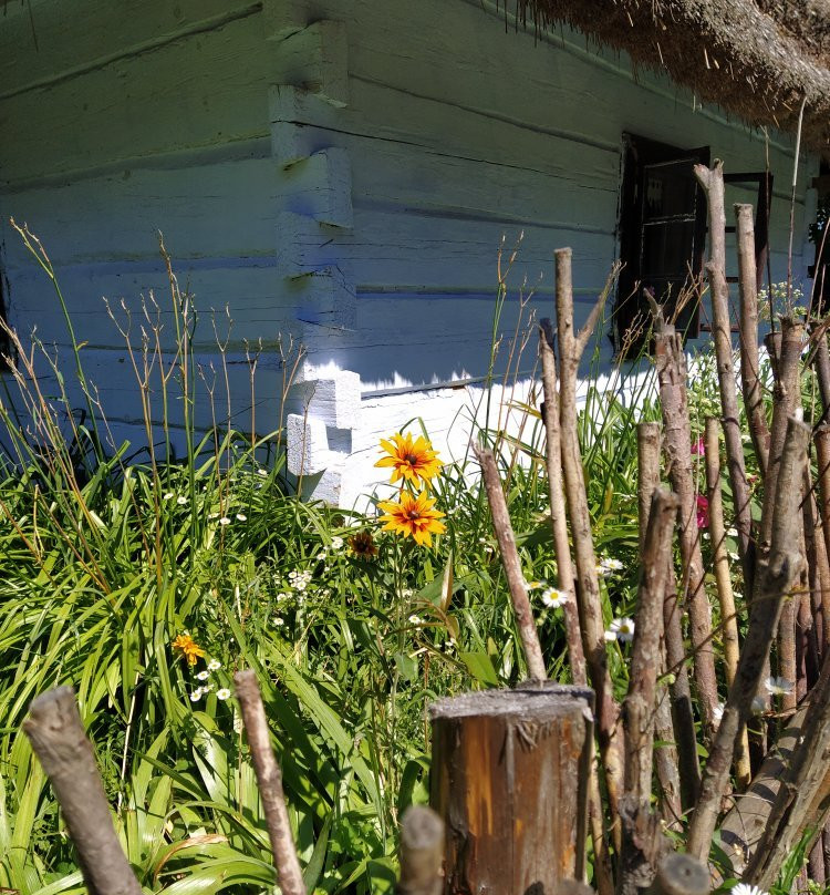 Zagroda Guciów Ethnographic Museum-Zwierzyniec必去景点