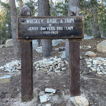 White Bark Vista Point