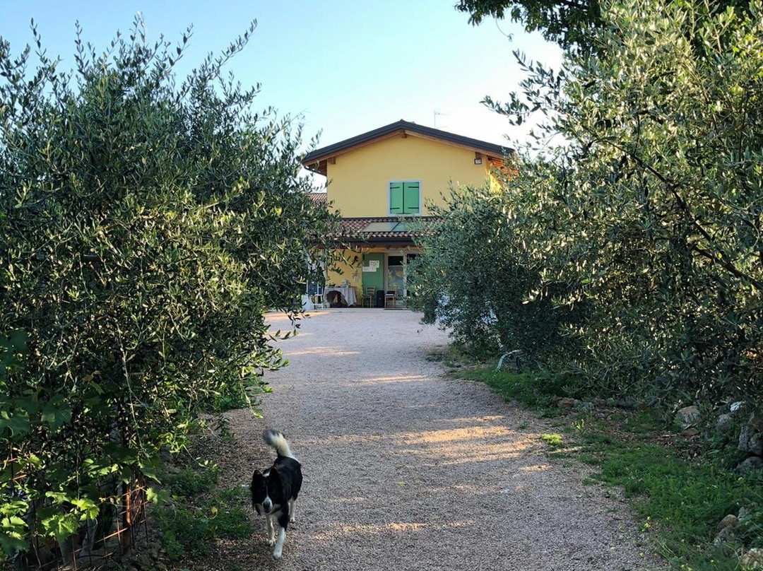 Agriturismo MaCoLe Fattoria主图