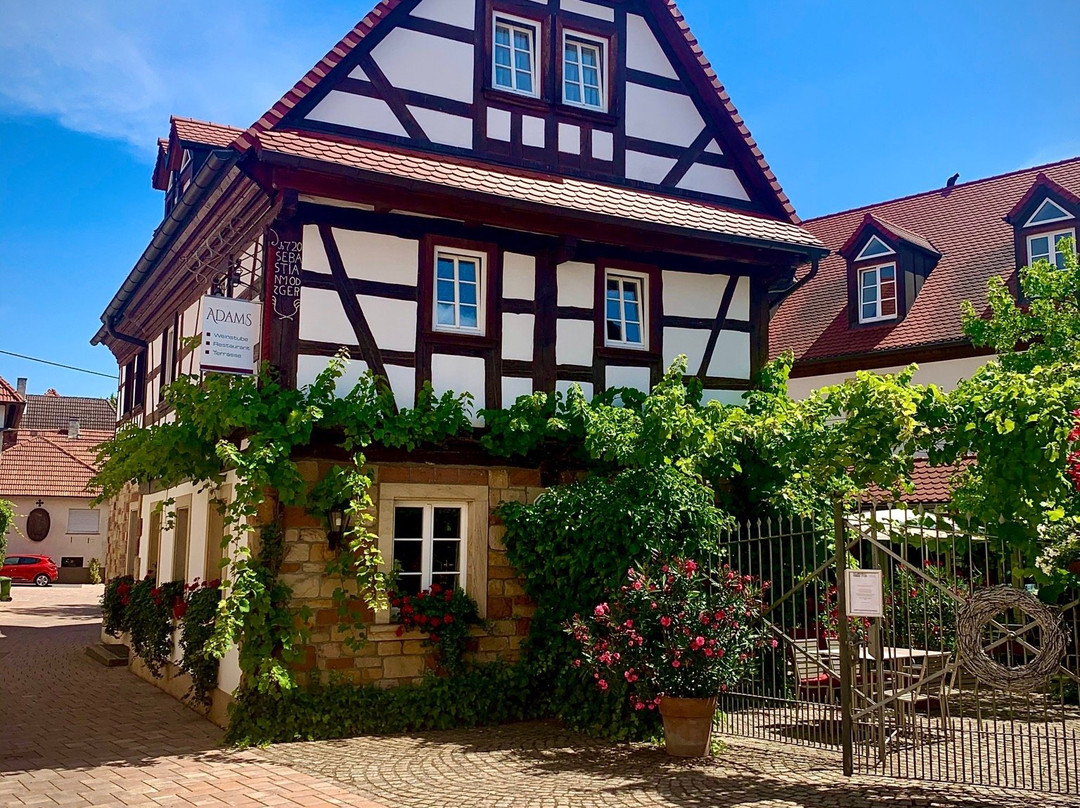 Landhotel Hauer主图