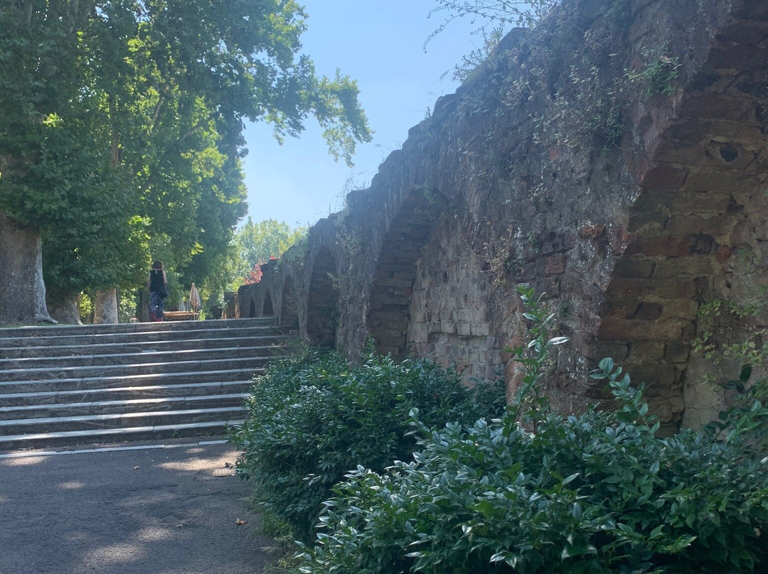 Viale Pubblico Passeggio景点图片