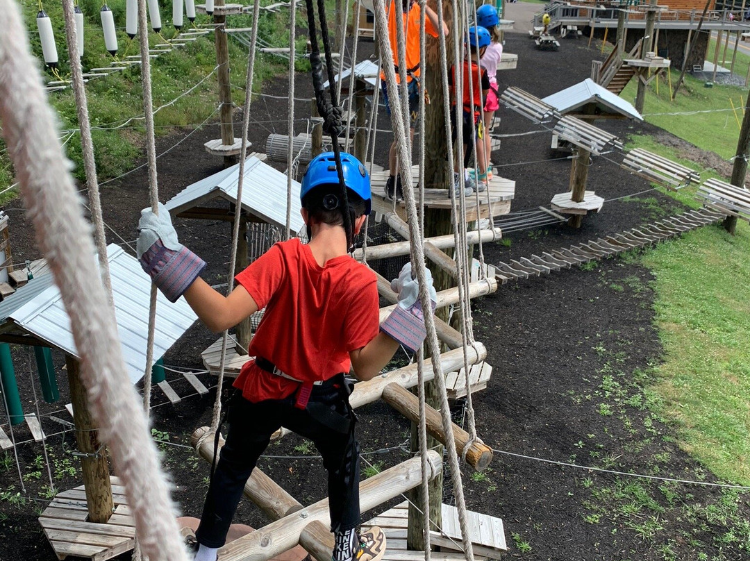 Moneky Business Aerial Adventure Park景点图片