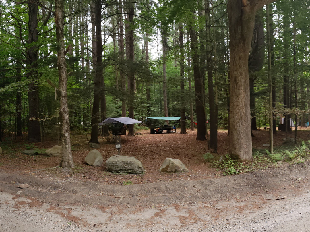 Granville State Forest景点图片