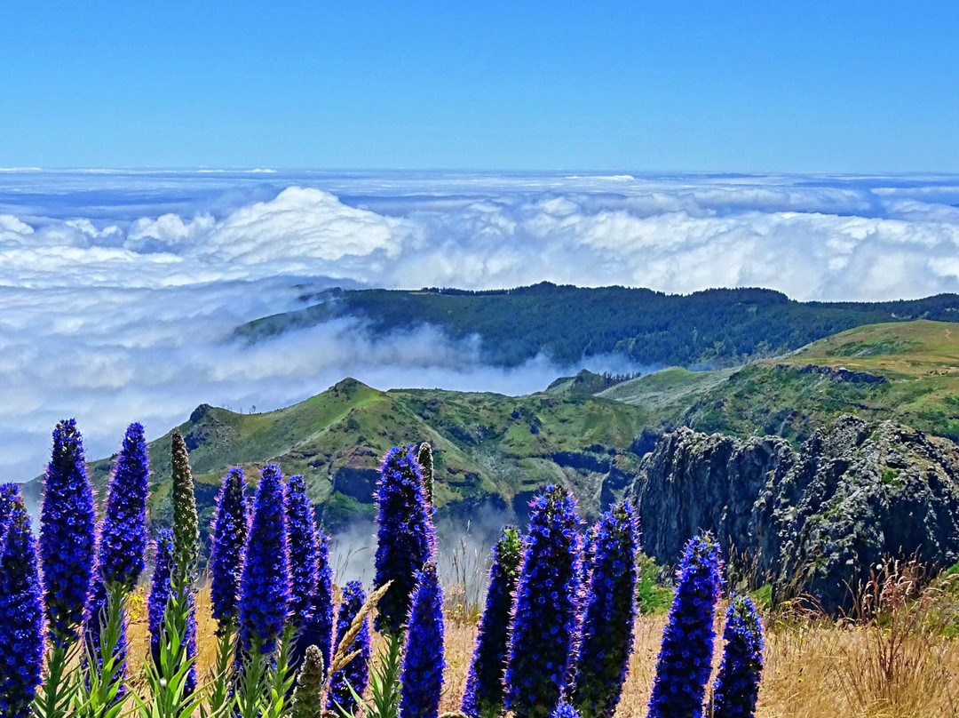Pico do Arieiro景点图片