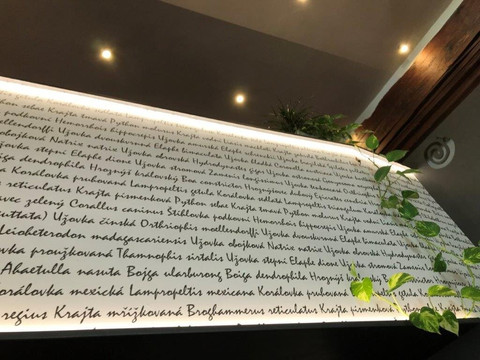 扎泰茨哈达酒店主图