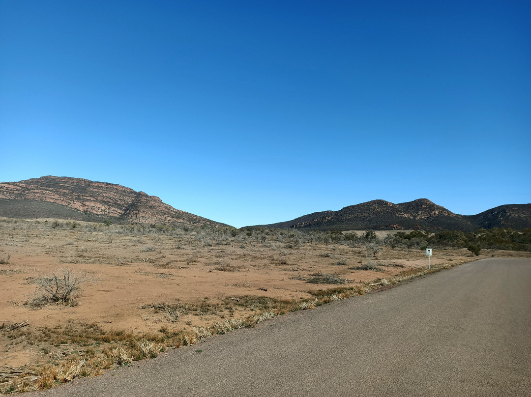Wilpena Pound景点图片