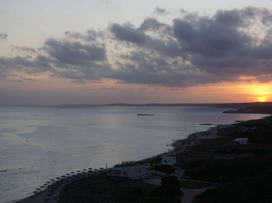 Sol Milanos Pinguinos主图