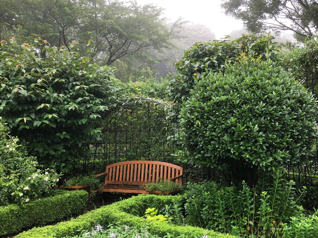 Clematis no Oka景点图片