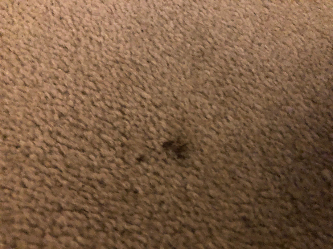 山景汽车旅馆和度假小屋主图