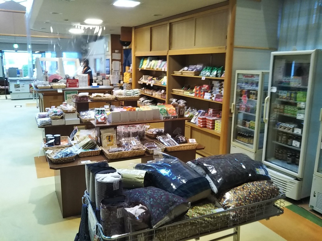 Benihana Onsen Hina no Yu景点图片