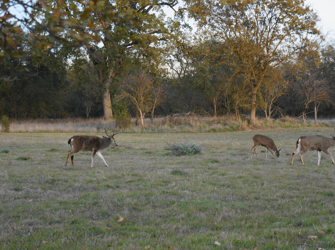 Ancil Hoffman Park-Carmichael必去景点