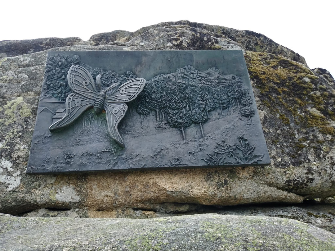 Monumento A La Mariposa.-Peguerinos必去景点