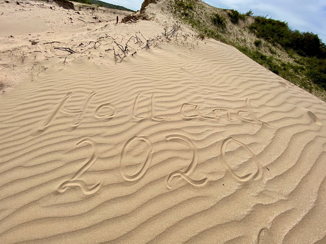 Nationaal Park Zuid Kennemerland-Overveen必去景点