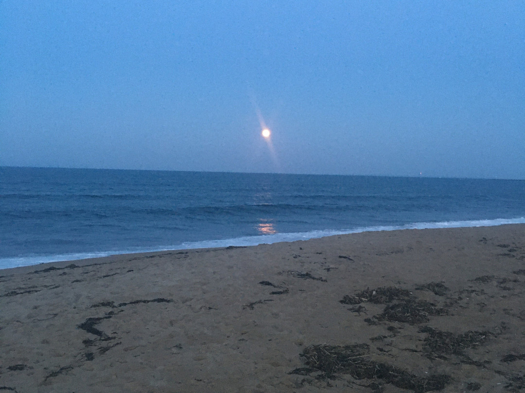Salisbury Beach State Reservation景点图片