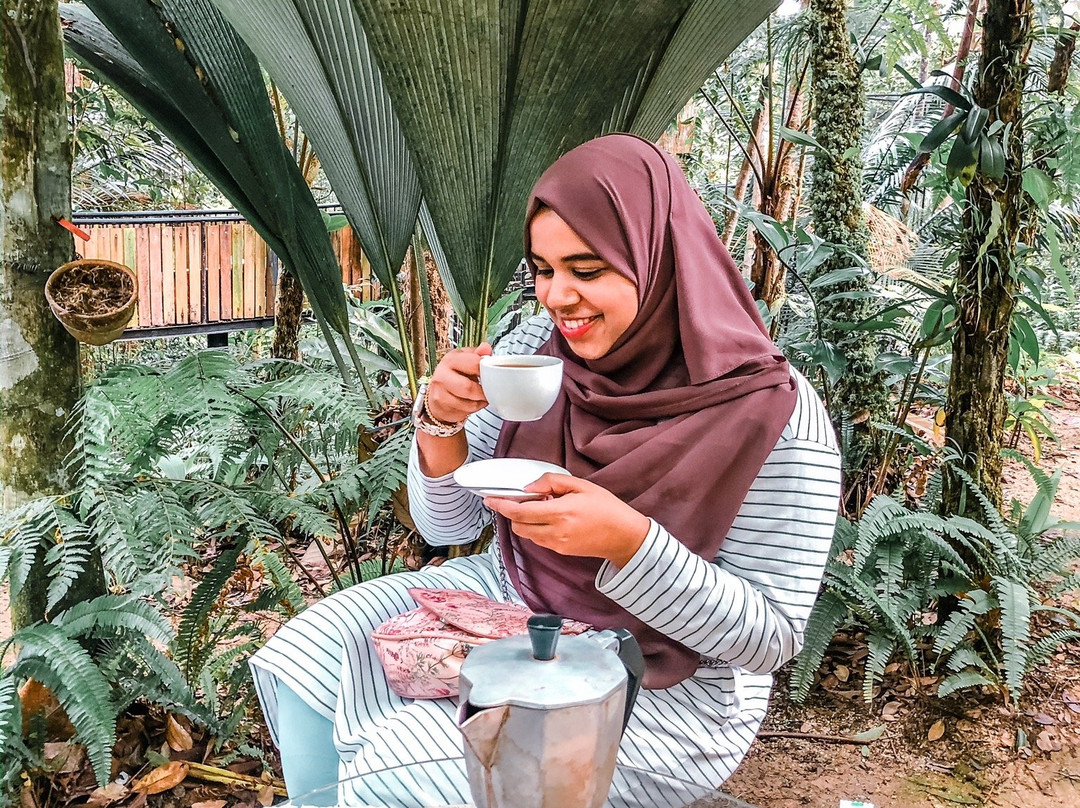 Monkey Cup-槟城岛必去景点