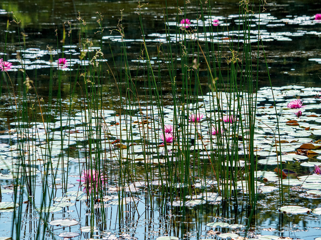 Reinstein Woods Nature Preserve景点图片