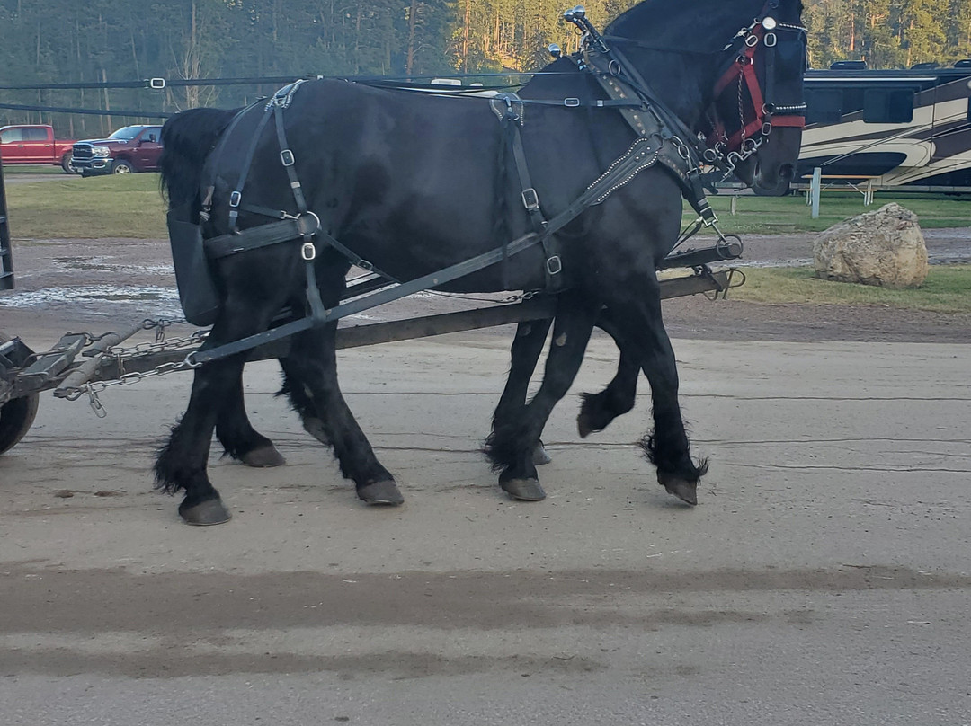 Mount Rushmore Resort & Lodge主图