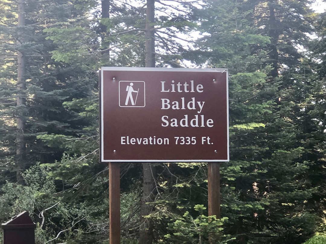 Little Baldy Trail-红杉&国王峡谷国家公园必去景点