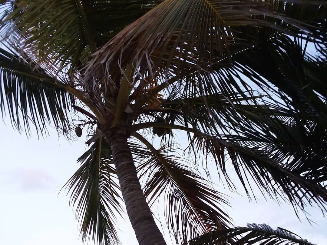 Key Colony Beach Motel主图