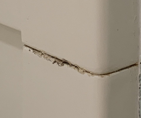 Best Western Plus Myrtle Beach @ Intracoastal主图