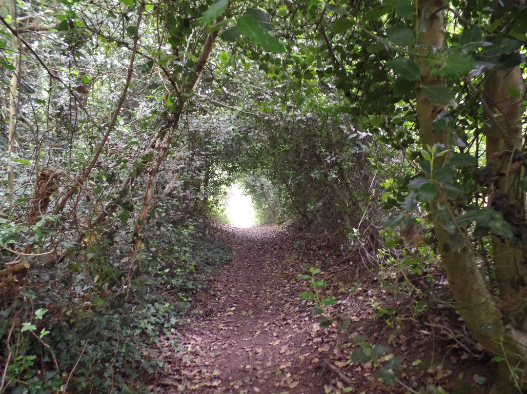 Elvaston Local Nature Reserve-Elvaston必去景点