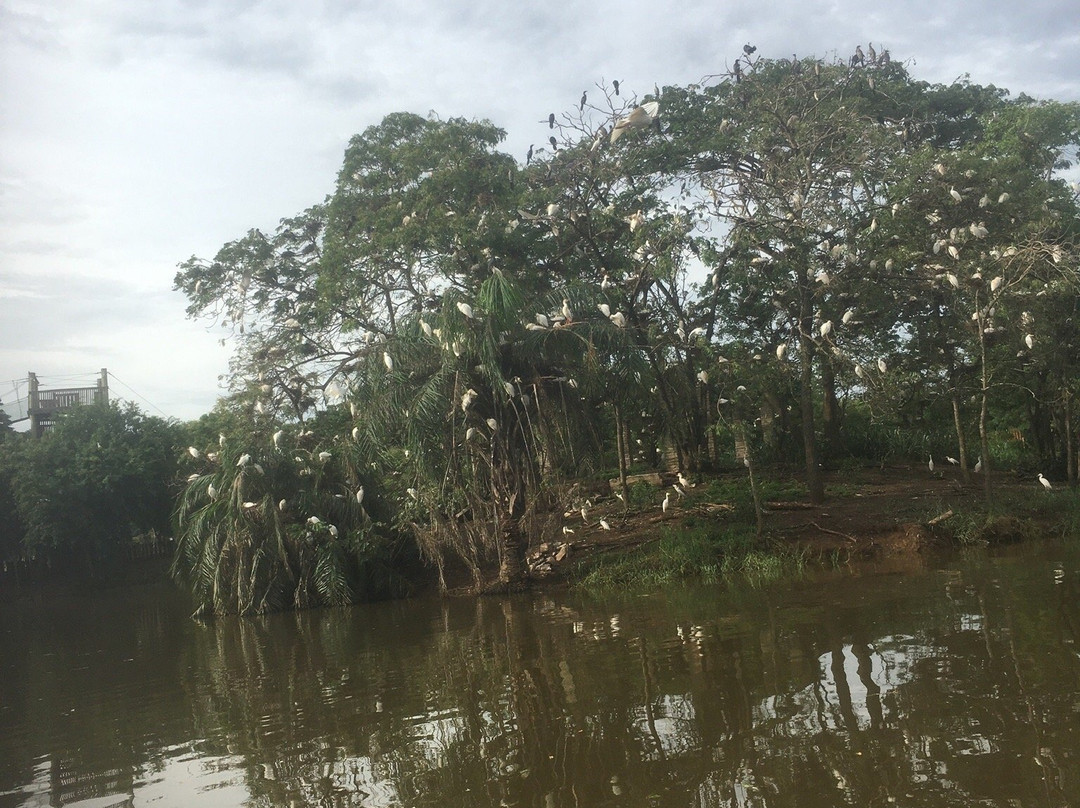 Legon Botanical Gardens-Legon必去景点