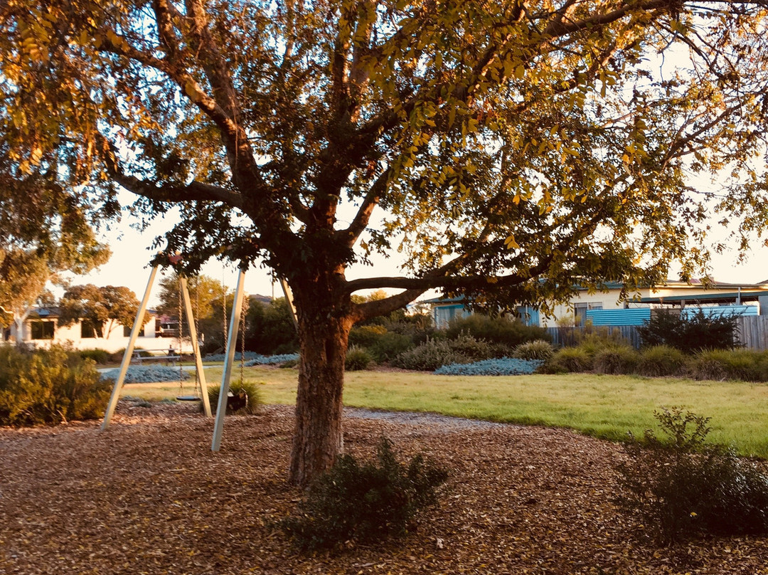 Apex Park-塞尔必去景点